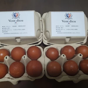 ヴァンデューの卵　　6個入＊4パック